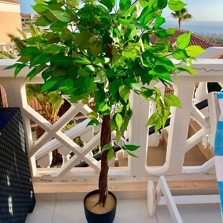 Passione Beautiful With Sea View